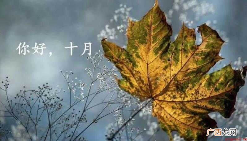 关于十月的优美句子有哪些 十月的优美句子有哪些