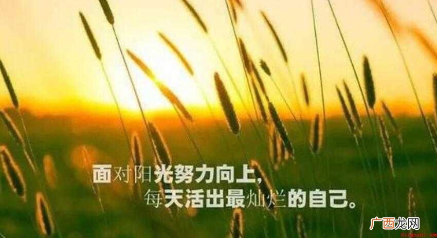 描写三月的励志句子有哪些