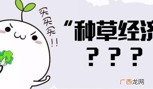 可以帮助他们提高产品的曝光率、销售量和口碑 ?为什么大厂痴迷“种草”