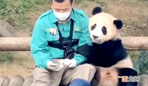 丫丫艺术蛋糕 丫丫吃水果冰蛋糕