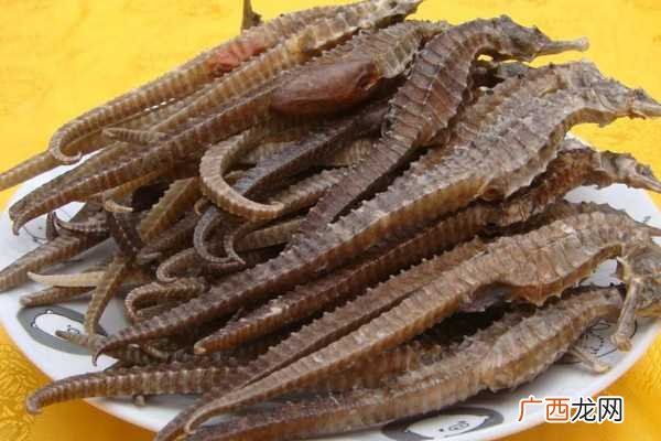 小海马的适宜人群 小海马的效用及饮用方法
