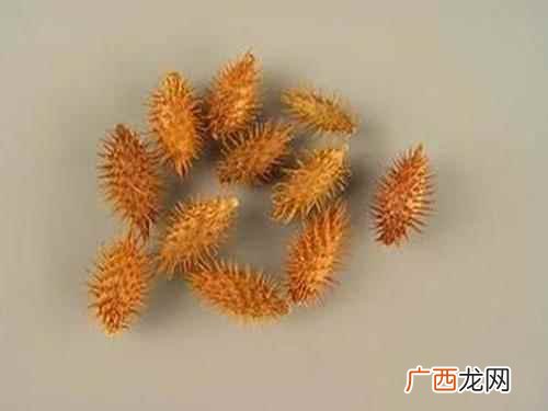 鼻窦炎有什么好的偏方 鼻窦炎有什么偏方吗