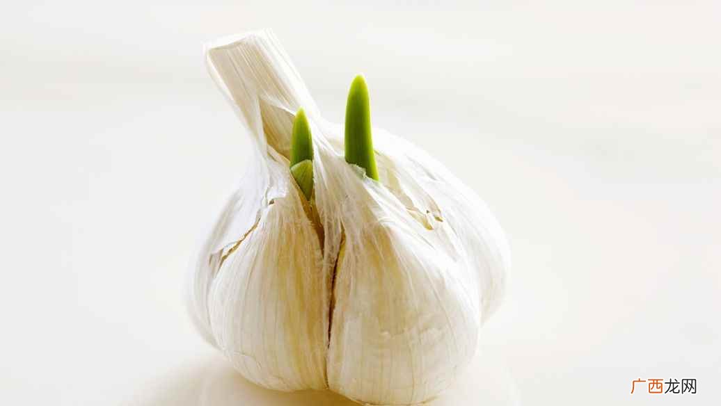 大蒜的吃法发芽营养翻倍 发芽的大蒜可以吃吗