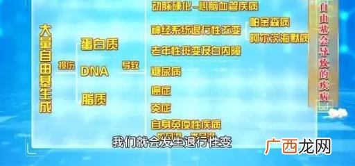 什么是血管的清道夫 血管清道夫清理血管的好方法