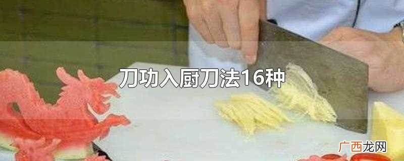 刀功入厨刀法16种图解 刀功入厨刀法16种
