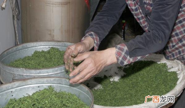 赤脚踩茶叶是一种传统的制茶工艺 ?茶农称赤脚踩茶叶是传统工艺