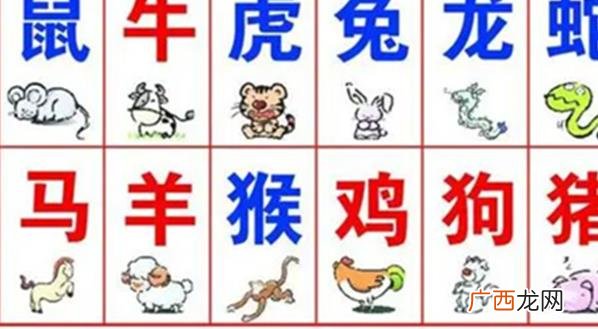 如何通过生肖判断命理 各个生肖的命理表格详解