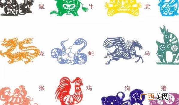 生肖命理可信吗 命理最好的生肖是什么