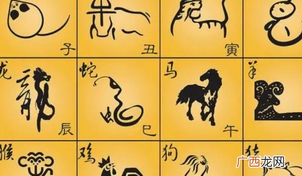 十二生肖命理龙虎真的是相斗吗 十二生肖代表的真正奥秘
