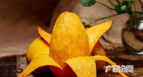 芒果里的核可以种吗 芒果中间的核可以种吗