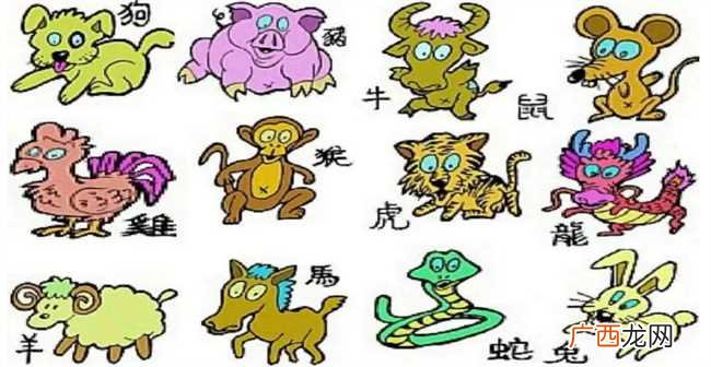 如何通过生肖判断命理 命理中最准的生肖是什么