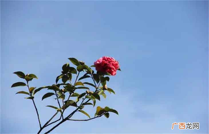 百闻不如一见下一句是什么 百闻不如一见下一句是什么意思