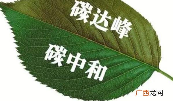 碳中和将推动人类从过去的高碳生活方式 ?碳中和将带来人类最重大的自我革命