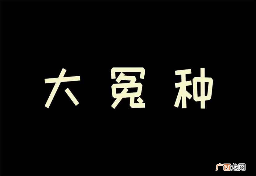 辽宁朝阳方言是北京官话 大怨种什么网络意思