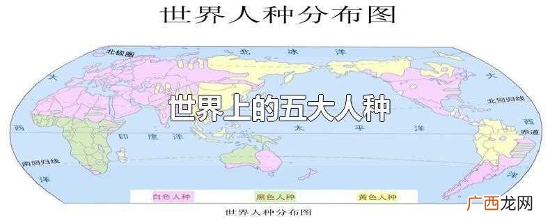 世界最强壮的五大人种 世界上的五大人种