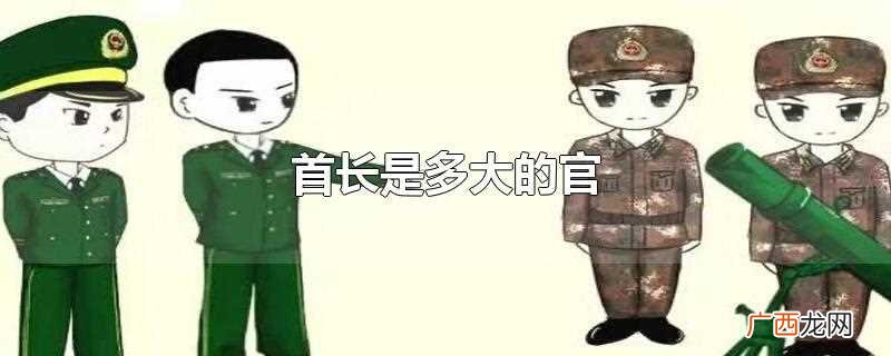首长官职多大是相对而言的 首长是多大的官
