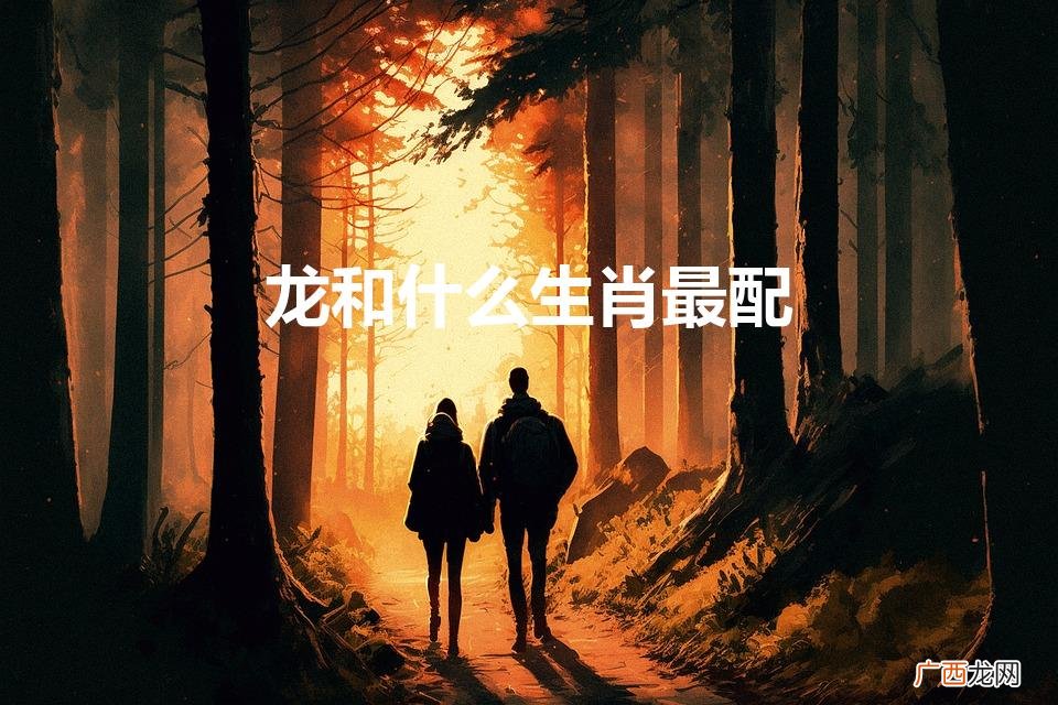 龙和什么生肖最配相克 龙和什么生肖最配