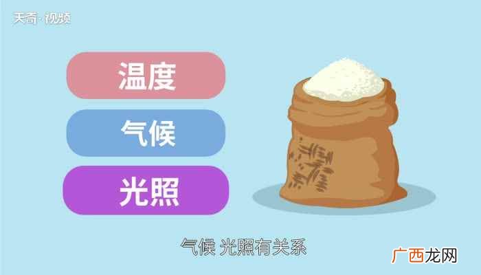 真空大米为什么不长虫 真空压缩大米能放多久