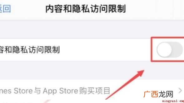 iphone访问限制在哪