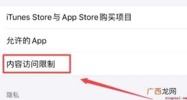 iphone访问限制在哪