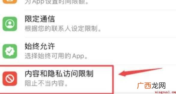 iphone访问限制在哪