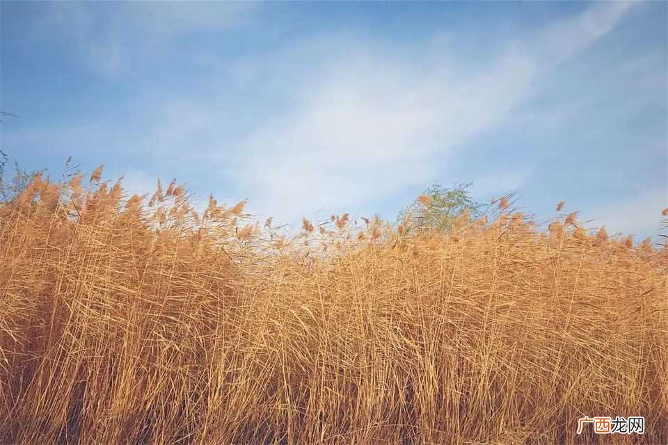 8000千米是什么概念 8000千米是多少公里