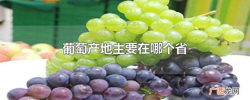 葡萄产地有哪些地方 葡萄产地主要在哪个省
