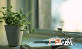 lie的过去式和过去分词三种 lie的过去式和过去分词