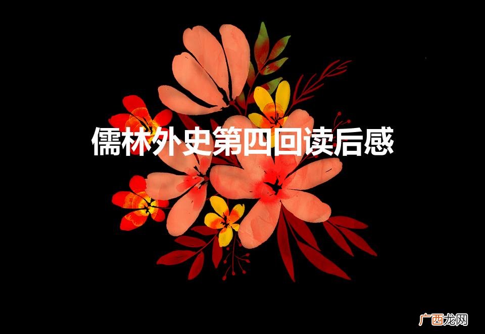 《儒林外史》读后感 儒林外史第四回读后感