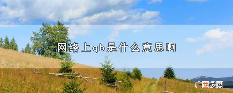 网络上的qb有哪些含义 网络上qb是什么意思啊