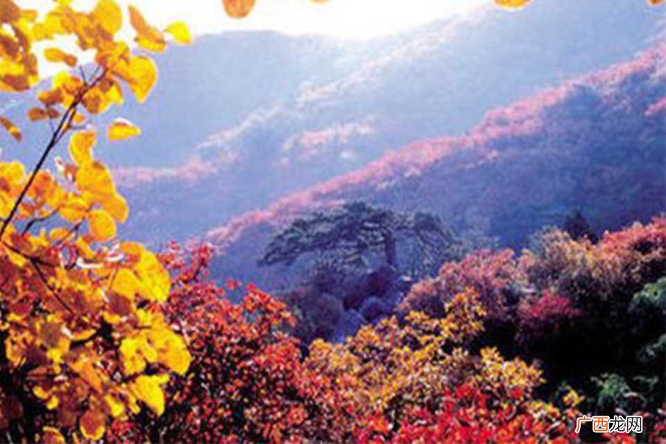 香山在哪里哪个省市 香山在哪里