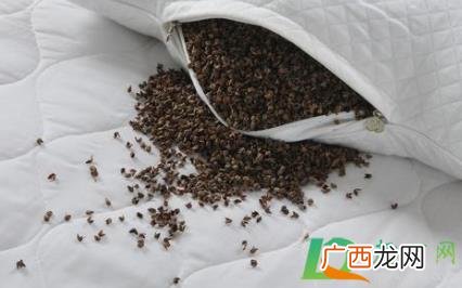 荞麦枕头一般能用几年 荞麦枕头用几年需要换吗