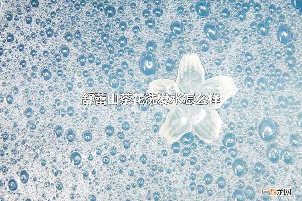 舒蕾山茶花洗发水好用吗 舒蕾山茶花洗发水怎么样