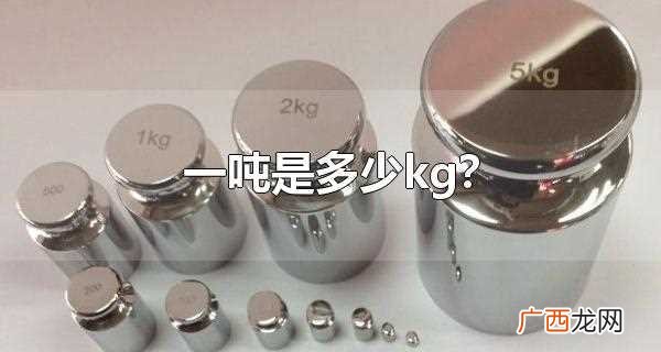 一吨是多少kg啊 一吨是多少kg