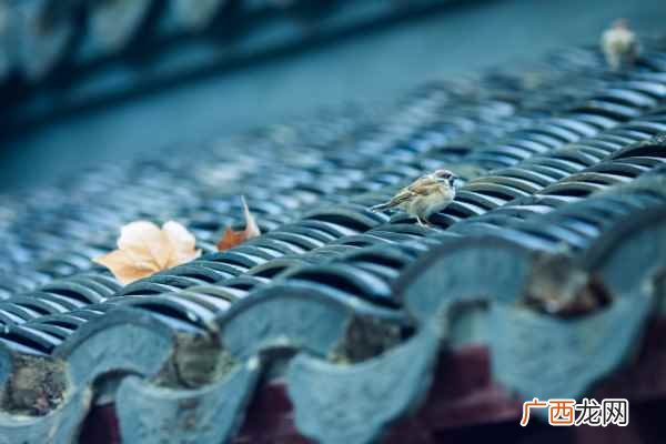 为写一首新词无愁而勉强说愁 为赋新词强说愁的理解