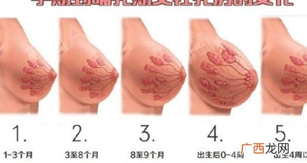 孕期乳房的这些变化，都正常吗？