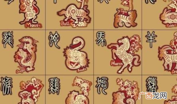 命理生肖的特点和属性如何与现代心理学理论相结合，来深入解读人类的内心世界？