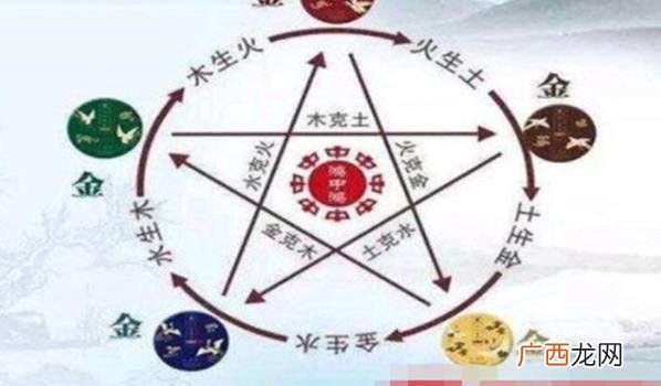 命理生肖的起源和发展历程如何，它与其他文化的异同点是什么？