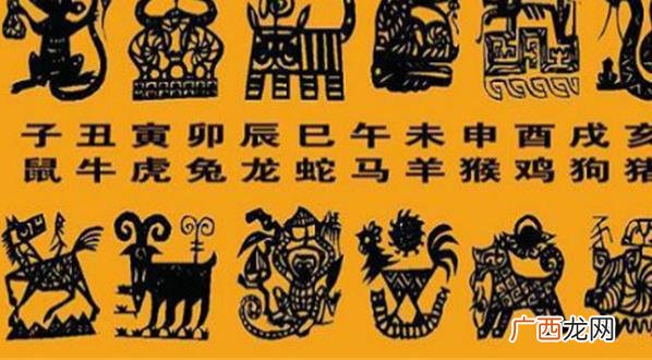 命理生肖的起源和发展历程如何，它与其他文化的异同点是什么？