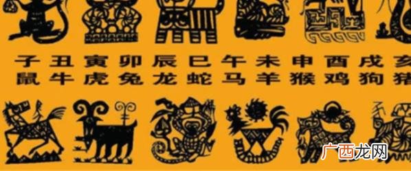 命理生肖是否有科学性，其预测和解读的准确性如何？