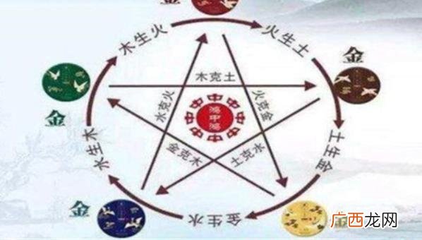 命理生肖是否有科学性，其预测和解读的准确性如何？