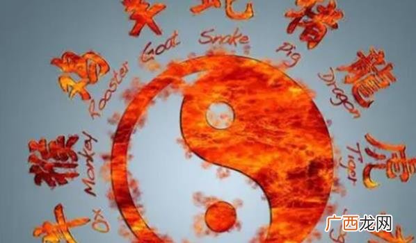 命理生肖的传统文化价值和现代意义是什么，如何继承和发扬中华文化的传统和精髓？