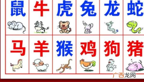 不同生肖的人在人际关系和情感方面有什么特点和表现？
