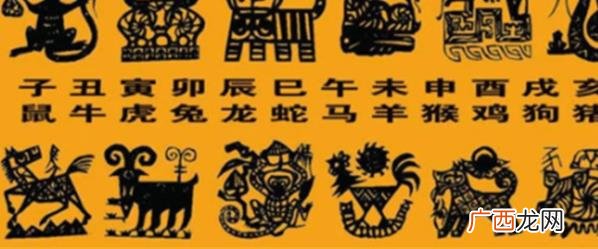 命理生肖与个人的性格发展、行为习惯等方面有什么关系和影响？