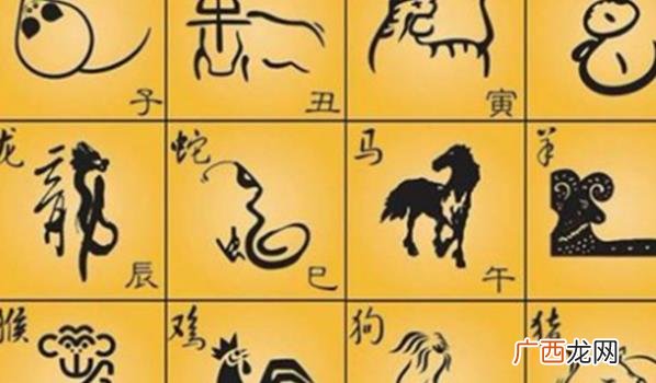 命理生肖与个人的性格发展、行为习惯等方面有什么关系和影响？