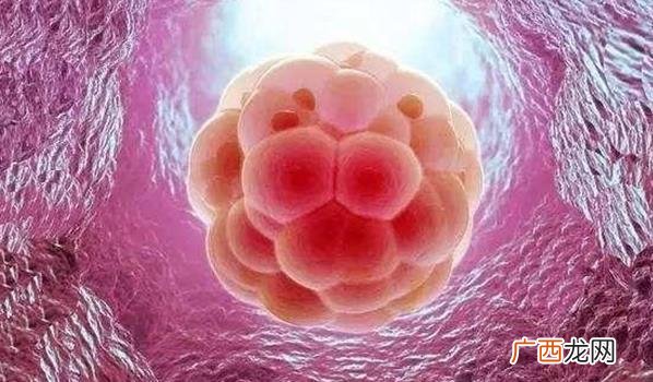 怀了个假孕：生化妊娠是何方妖孽？