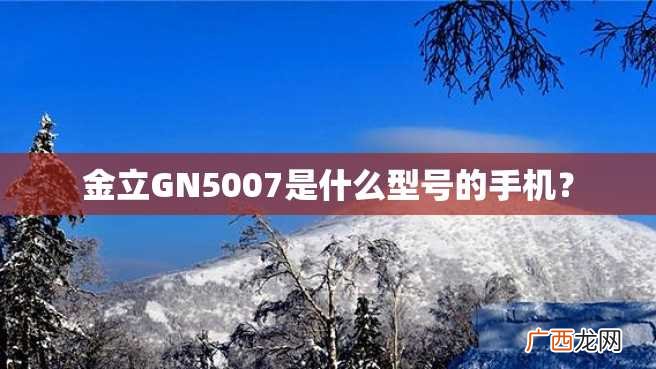 金立GN5007是什么型号的手机?