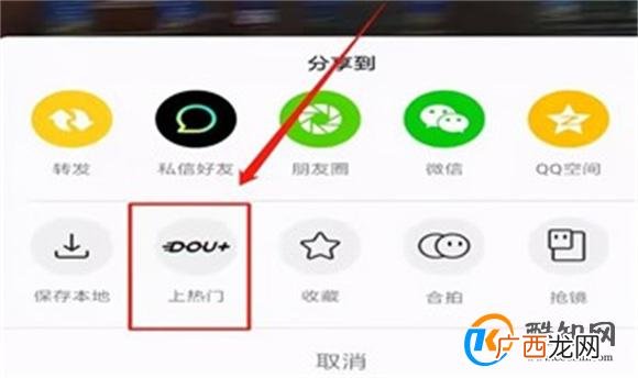 抖加是什么意思?