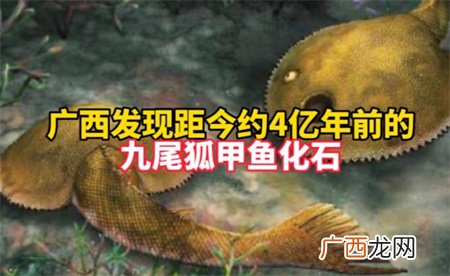 ?广西发现九尾狐甲鱼化石 这项发现有什么意义？