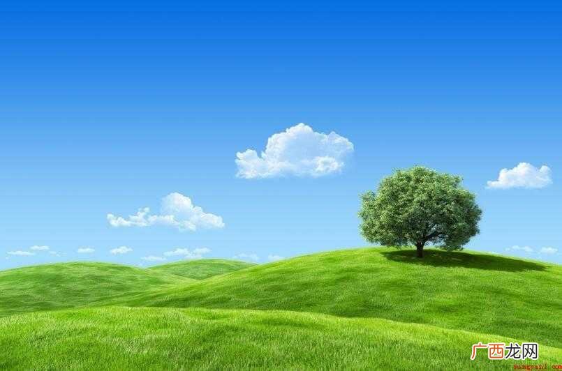 如何为电脑桌面设置好看的主题背景